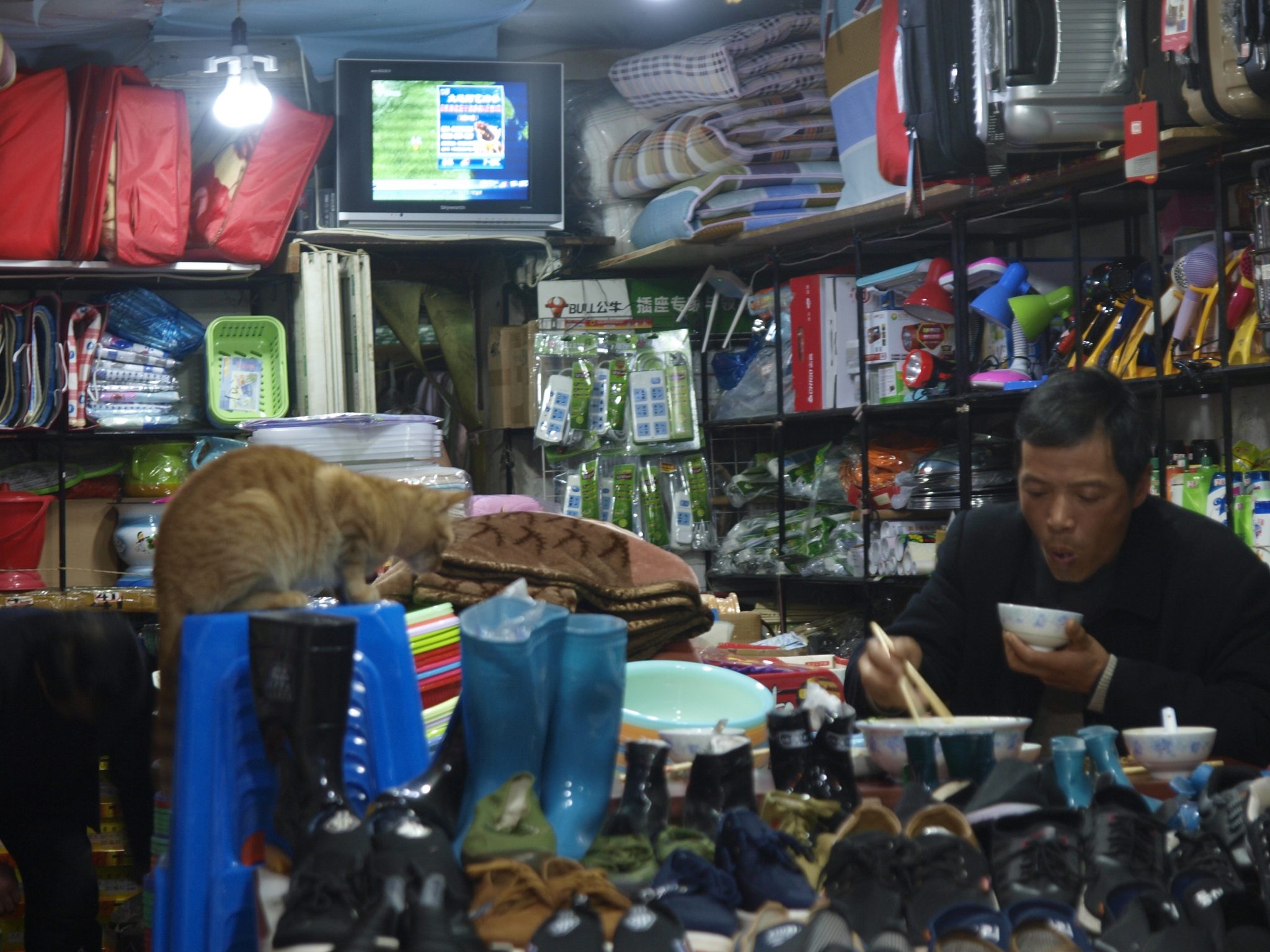 Shanghai Cats and Street Vendors BloggedOn
